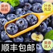云南蓝莓新鲜水果L25当季蓝梅鲜果现摘高山怡颗孕妇大果