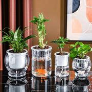 塑料水培水植物花瓶居家装饰蝴蝶兰绿萝盆桌面，小尺寸种植盆多肉盆