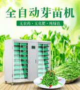 多功能芽苗机全自动商用豌豆豆芽机大容量箱式，黄豆绿豆发芽豆苗机