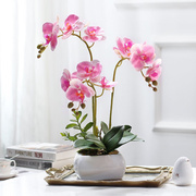 屋内装饰手感兰盆栽假花仿真花，摆件客厅茶几花艺，餐桌上的花