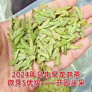 小米粒头采乌牛早龙井5优级2024年新茶上市 开园头采芽头