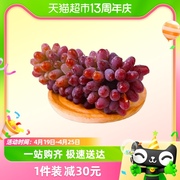 云南红河茉莉香葡萄2斤装红提新鲜时令水果