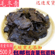 毛冬青茶叶 毛冬青苦甘叶苦丁茶凉茶500中草药大全