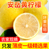 四川安岳黄柠檬(黄柠檬，)10斤新鲜水果一级果当季现摘榨汁皮薄多汁整箱