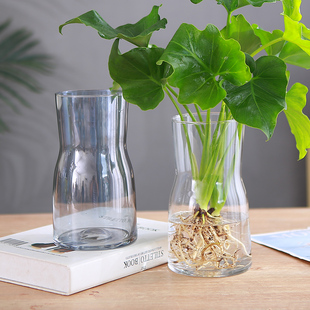 玻璃花瓶透明简约客厅插花摆件桌面水培植物器皿水养盆栽花卉容器