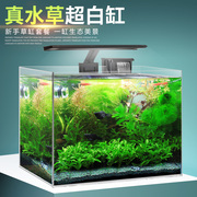 超白玻璃真水草景套餐热带鱼缸，水草缸自循环生态桌面客厅小型创意