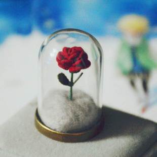小王子的玫瑰花DIY手工材料包送男友女友表白七夕节创意礼物摆件