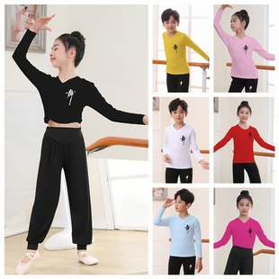 儿童舞蹈练功服男女童中国舞拉丁舞裤子小孩，舞蹈上衣长袖秋季套装