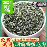 2024新茶毛尖茶叶正宗信阳原产明前特级浓香型绿茶散装茶叶250g