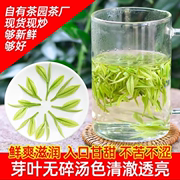 安吉白茶2023新茶春茶明前一级高山嫩芽茶农250g