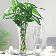 大号透明玻璃花瓶水培百合，观音富贵竹鲜花，插花瓶客厅家用摆件专用