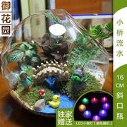 苔藓微景观生态瓶小盆栽创意迷你植物办公室桌面盆景龙猫摆件diy