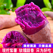 新鲜紫薯板栗红薯地瓜番薯5山芋，小香薯紫心蜜薯农家沙地9斤
