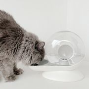 蜗牛狗狗喝水猫咪饮水机，流动不插电宠物自动喂水器防打翻水盆水碗