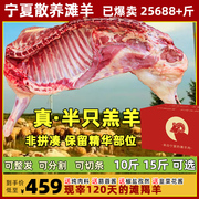 羊肉新鲜宁夏滩羊肉现杀滩羊盐羊排半只羊半羊非池新疆整只礼盒