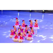 六一儿童演出服蓬蓬公主裙幼儿园纱裙亮片表演服爵士舞蹈服装