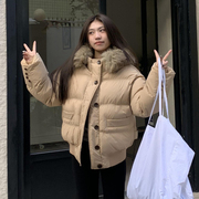 橘子树在哪儿韩系连扣派克棉服女冬季设计感保暖毛领连帽棉衣外套