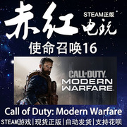 STEAM PC 正版 使命召唤16 17 18 cod Call of Duty 第一人称射击
