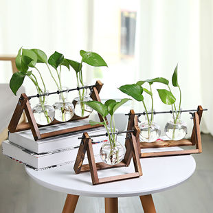 创意木架绿萝水培花瓶植物，办公桌面装饰物玻璃花器客厅摆件