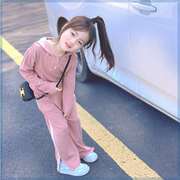 女童秋款套装2023韩系童装，连帽衫休闲阔腿裤运动秋季两件套潮