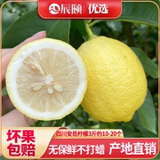 辰颐物语四川安岳柠檬3斤约10-20个新鲜现摘应季水果坏果理赔