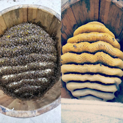 高山富硒结晶苦蜂蜜纯天然农家，自产原生态野生土，蜂蜜一年只取一次