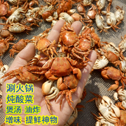 500g小螃蟹干货水产乌拉火锅底料，干螃蟹炖酸菜，配料干虾蟹小海蟹干
