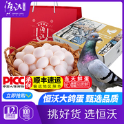 恒沃大鸽蛋商务送礼盒22gX30枚新鲜鸽子蛋恒蜂源送礼袋