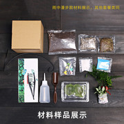 15cm切口苔藓微景观，diy材料包创意，玻璃球生态瓶子摆件z物套