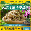 史丹利水苔蝴蝶兰专用土干苔藓，养兰花的营养，土文石斛心兰乌龟