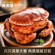 海渔链熟冻面包蟹600-800g/只黄金蟹珍宝蟹膏蟹黄道蟹海鲜生鲜