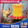 鸡用自动饮水器自动喂水器鸡水碗自动喂食器鸡食槽喂鸡神器小鸡