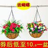 仿真植物盆栽吊篮垂钓绿萝假花藤蔓条吊兰，塑料花吊顶阳台装饰挂件