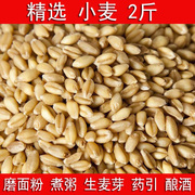 2斤带皮小麦粒食用磨面药引麦芽糖发芽苗草榨汁酿酒麦子1斤