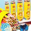 桶装彩铅套装学生绘画彩色，铅笔12色24色36色涂色画画儿童彩铅笔