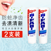 日本花王大白牙膏防蛀牙垢，牙渍牙齿清新口气除臭薄荷口味165g