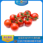 老一特卖 串红小番茄 500g 新鲜串红西红柿 小番茄 串红蕃茄