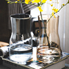 北欧创意ins风透明玻璃小花瓶，水培干鲜花，插花装饰品客厅家用摆件
