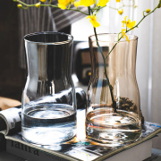 北欧创意ins风透明玻璃，小花瓶水培干鲜花，插花装饰品客厅家用摆件