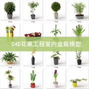 植物盆栽仙人掌室内绿植模型带贴图材质c4d花草工程模型gc011