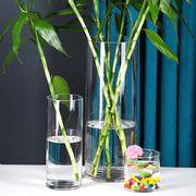 高档水培植物玻璃瓶透明直筒圆柱花瓶简约绿萝富贵竹落地水养