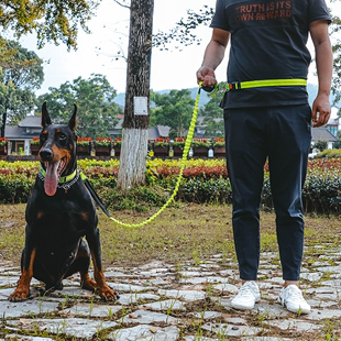 宠物牵引可伸缩遛狗绳跑步牵引弹力绳遛狗狗链子中小型犬宠物用品