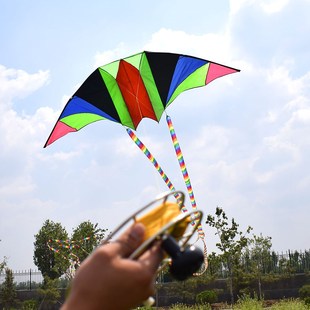 潍坊风筝3d立体大型滑翔机成年人微风易飞超大做礼物送人风筝