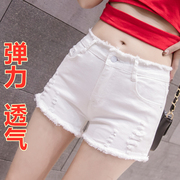 夏季女装韩版批发直筒时尚紧身弹力热裤显瘦破洞毛边牛仔短裤