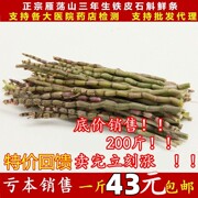 新鲜铁皮石斛鲜条500g乐清雁荡山霍山石斛，枫斗中药材四五年生干花