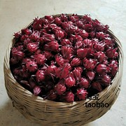 洛神花种子食用红宝石红桃K种子 阳台盆栽种籽茄花草茶种苗易种植