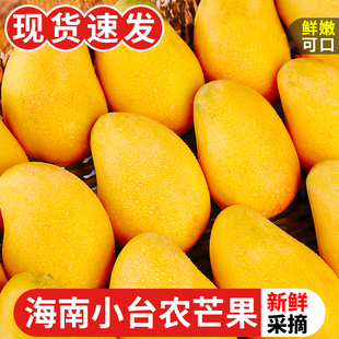 海南小台农芒果10斤新鲜小台芒当季特产水果，现摘芒果大果整箱