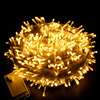 LED彩灯闪灯串灯满天星圣诞节庆婚庆新年户外亮化防水工程装饰灯