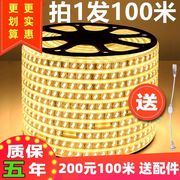 100米整卷led双排灯带超亮灯条客厅吊顶，线灯装饰照明户外防水光带