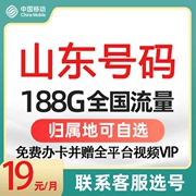 山东济南青岛淄博临沂烟台潍坊济宁归属地移动流量，上网手机电话卡